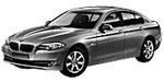 BMW F10 P1258 Fault Code